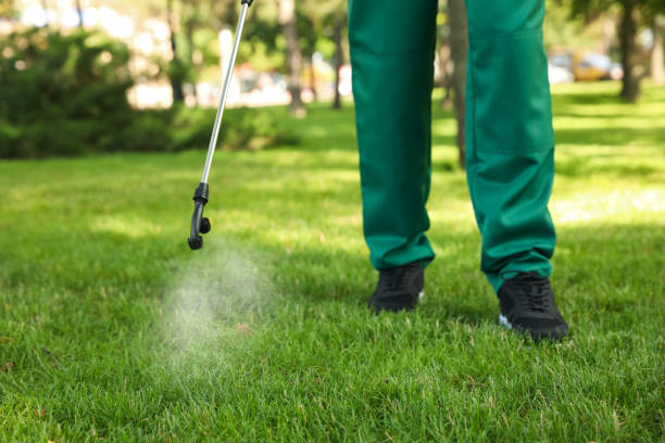 Reliable Northwest Harwich, MA Pest Control Solutions